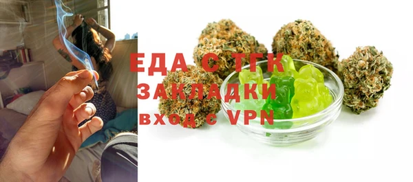 индика Верхний Тагил