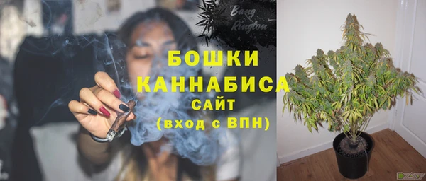 индика Верхний Тагил