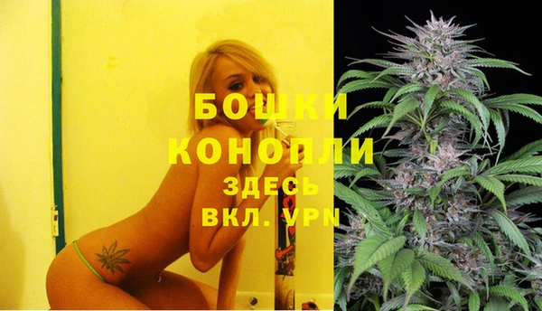 мдпв Бронницы