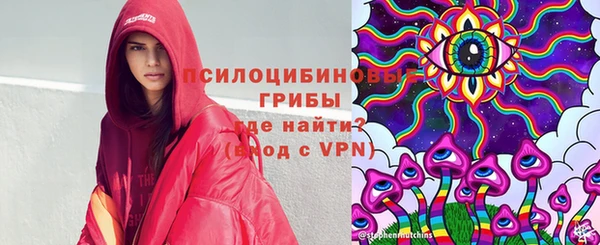дурь Бугульма