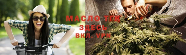 индика Верхний Тагил