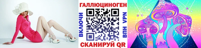 как найти наркотики  блэк спрут ссылки  Псилоцибиновые грибы мицелий  Катайск 